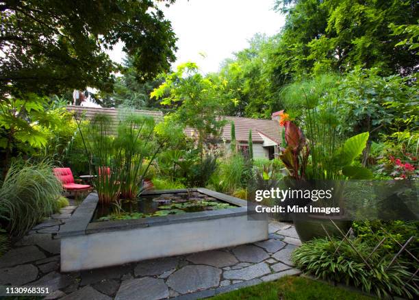 landscaped garden with koi pond - teich garten stock-fotos und bilder