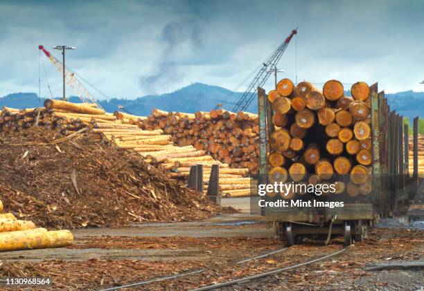 logs on railroad trailer - logging mill stock pictures, royalty-free photos & images