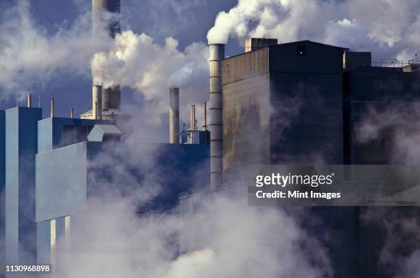 paper manufacturing plant near charleston, south carolina - luftverschmutzung stock-fotos und bilder