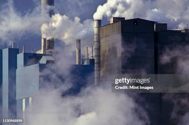 paper manufacturing plant near charleston, south carolina - air pollution stock pictures, royalty-free photos & images