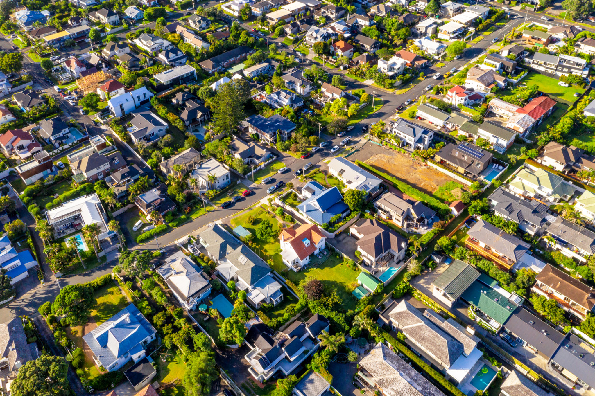 auckland suburbs