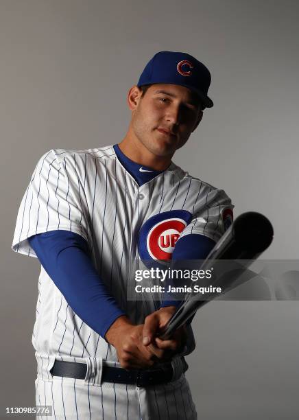 Anthony Rizz Face Anthony Rizzo Studio Photos and Premium High Res Pictures - Getty Images