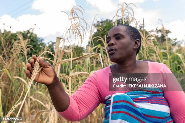 Mutoko Mutoko Photos and Premium High Res Pictures - Getty Images