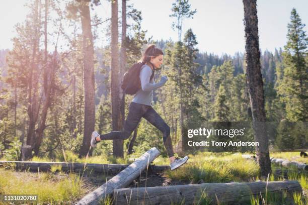 Runner In Woods Running In The Wood Photos and Premium High Res Pictures - Getty Images