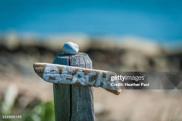 beach sign with ocean in the background - beach sign stock pictures, royalty-free photos & images