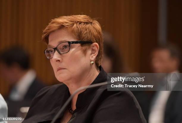 Senator Marise Payne during Senate Estimates for Foreign Affairs, Defence and Trade Legislation Committee at Parliament House on February 21, 2019 in...