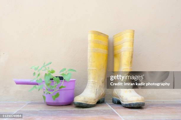 rubber boots and plant - rubber boots imagens e fotografias de stock