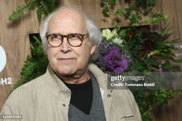 Chevy Chase attends the Global Green 2019 Pre-Oscar Gala at Four Seasons Hotel Los Angeles at Beverly Hills on February 20, 2019 in Los Angeles,...