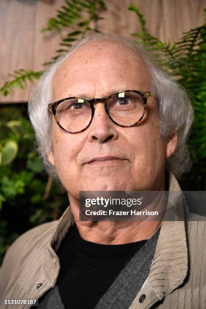 Chevy Chase attends the Global Green 2019 Pre-Oscar Gala at Four Seasons Hotel Los Angeles at Beverly Hills on February 20, 2019 in Los Angeles,...