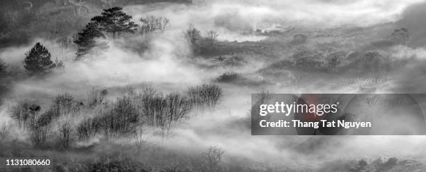 Mist Draw 23 Layers Of Rainforest Drawing Stock Photos, High-Res Pictures, and ...