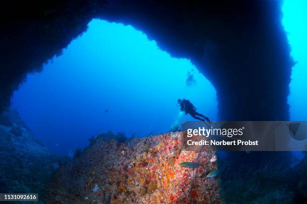 diver looks at reef formation known as sarcophagus in archway from south plateau of elphinstone reef, red sea, egypt - marsa alam stock pictures, royalty-free photos & images