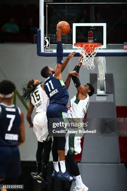 Hakim Warrick of the Iowa Wolves goes up for a dunk against Shevon Thompson of the Wisconsin Herd in an NBA G-League game on March 16, 2019 at the...