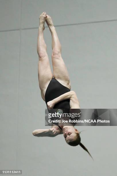 Amanda Hurchalla of Wayne State competes in the finals of the Women's 3 Meter Diving during the Division II Men's and Women's Swimming & Diving...