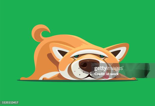 63点の柴犬イラスト素材 Getty Images 63点の柴犬イラスト素材 Getty Images
