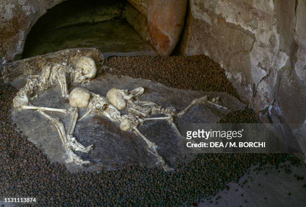 Human skeletons found in the House of Neptune and Amphitrite, Herculaneum , Campania, Italy, Roman civilization, 1st century.