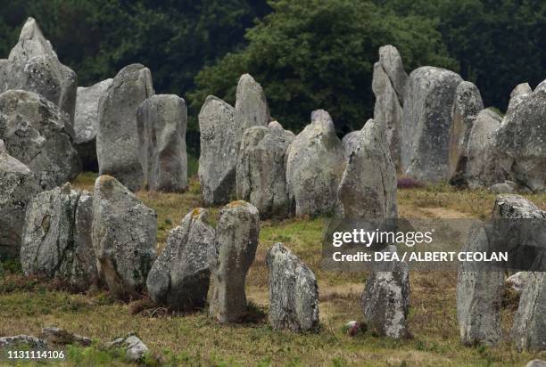 Megaliths of Carnac, stone alignments, Carnac, Brittany, France. Neolithic civilization, 5th-3rd millennium BC.