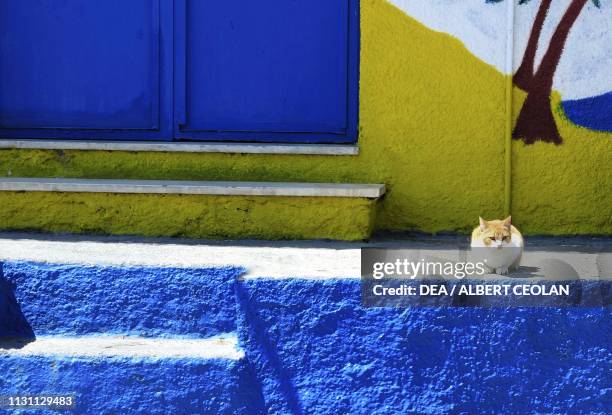 Cat in front of a traditional Agia Kiriaki house, Pelion peninsula, Greece.