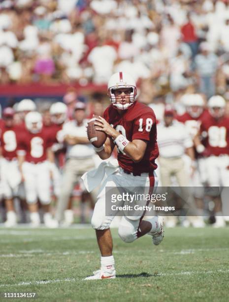Steve Stenstrom, Quarterback for the Stanford Cardinal during the NCAA Independent college football game against the University of Oregon Ducks on 12...