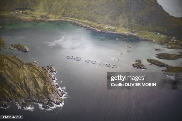 Salmon farms are seen in a fjord near Leknes in the Lofoten Islands on October 1 within Arctic Circle.