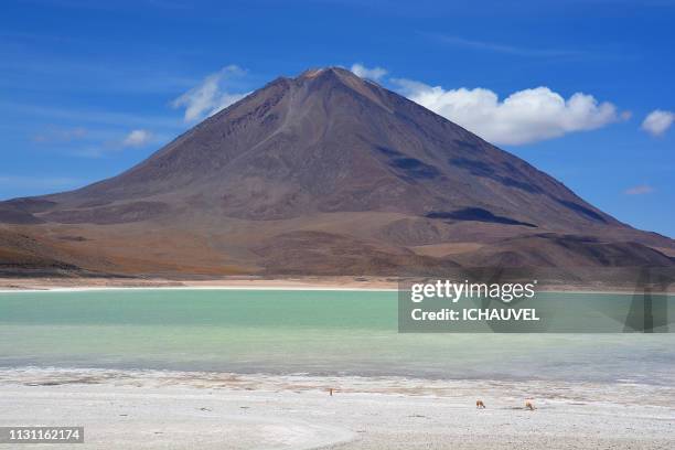 licancabur laguna verde bolivia - couleur vive stock-fotos und bilder