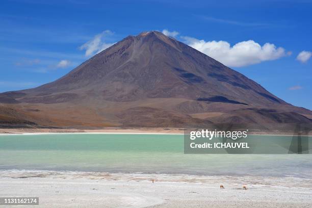 licancabur laguna verde bolivia - admirer le paysage stockfoto's en -beelden