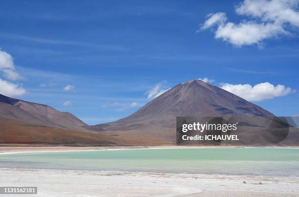 licancabur laguna verde bolivia - admirer le paysage stockfoto's en -beelden