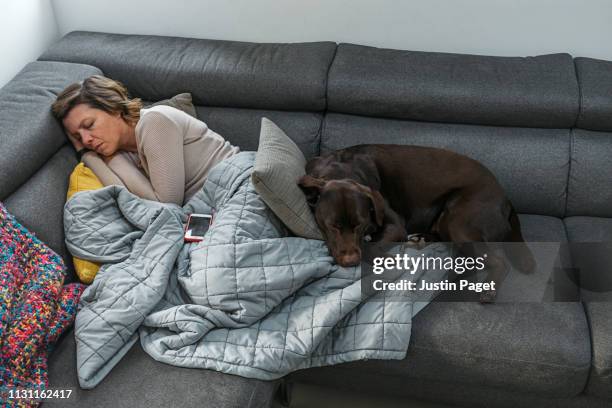 woman asleep on sofa with pet dog - napping stock pictures, royalty-free photos & images