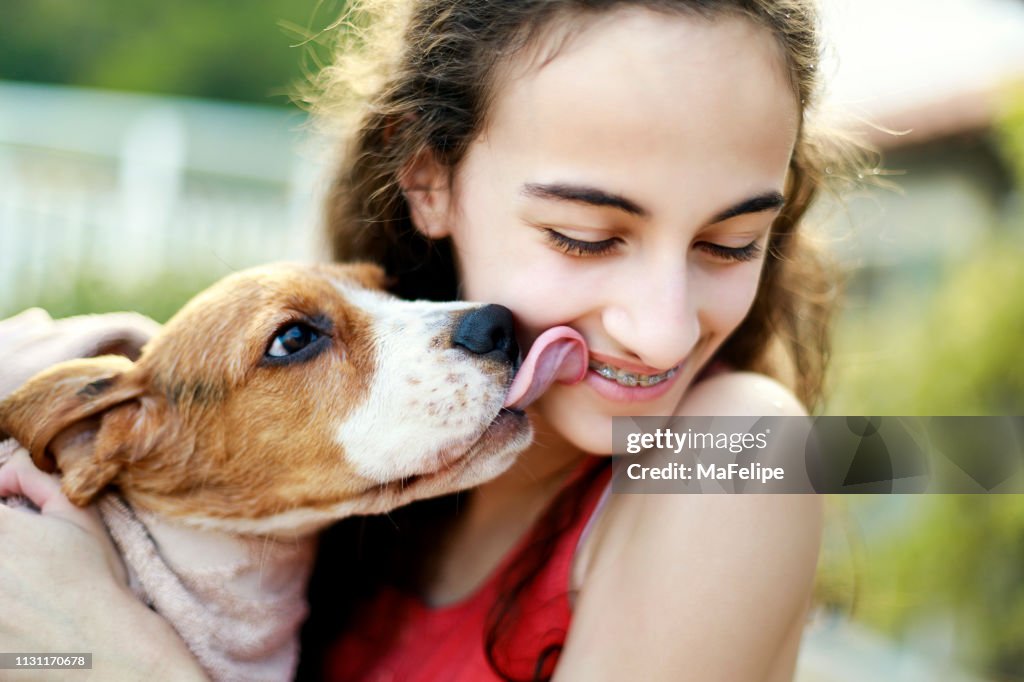 Puppy kissing teenage girl