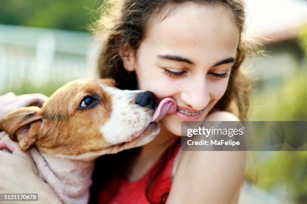 puppy kissing teenage girl - lamber imagens e fotografias de stock