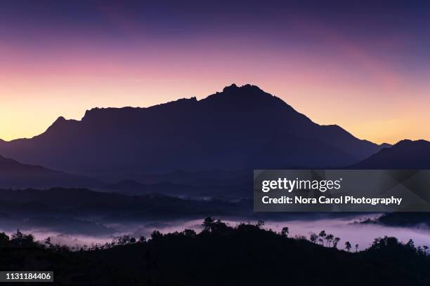 sunrise mt kinabalu - borneo rainforest stock pictures, royalty-free photos & images