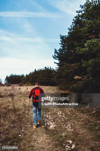 mann mit wandern pole zu klettern - nordic walking pole stock-fotos und bilder