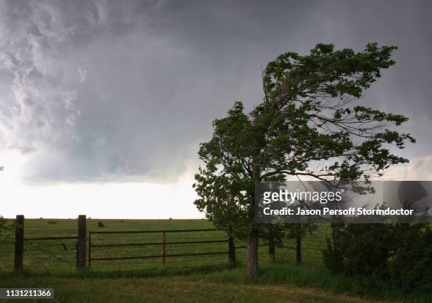outflow winds from the rear flank downdraft of a rotating supercell, lamar, colorado, usa - wind stock pictures, royalty-free photos & images