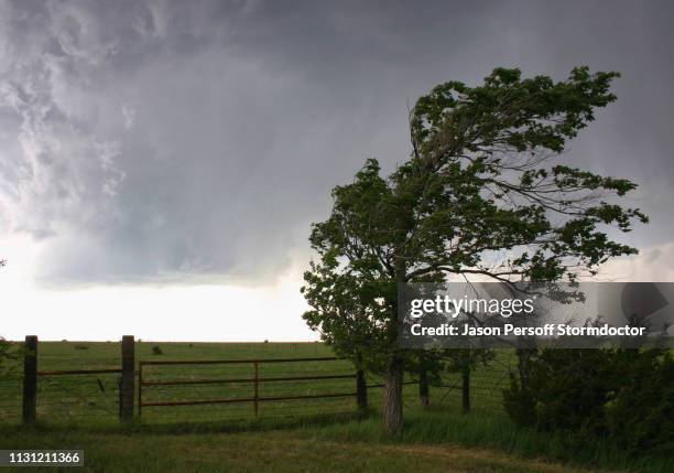 outflow winds from the rear flank downdraft of a rotating supercell, lamar, colorado, usa - wind 個照片及圖片檔