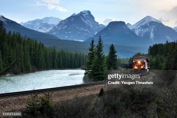 eastbound train and bow range, banff national park, alberta, canada - train tracks and nature foto e immagini stock