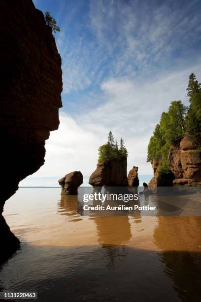 hopewel rocks, stairs cove - new brunswick canada stock pictures, royalty-free photos & images