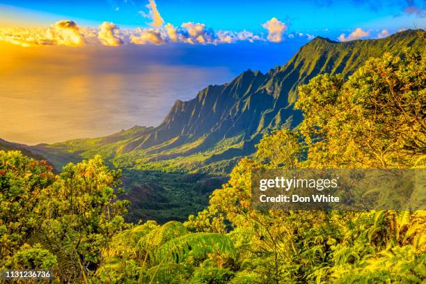 island of kauai in hawaii - north shore open space park stock pictures, royalty-free photos & images