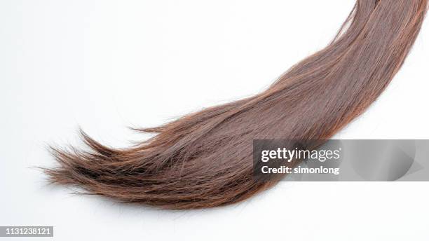 close-up of straight hair with white background - brown hair ストックフォトと画像