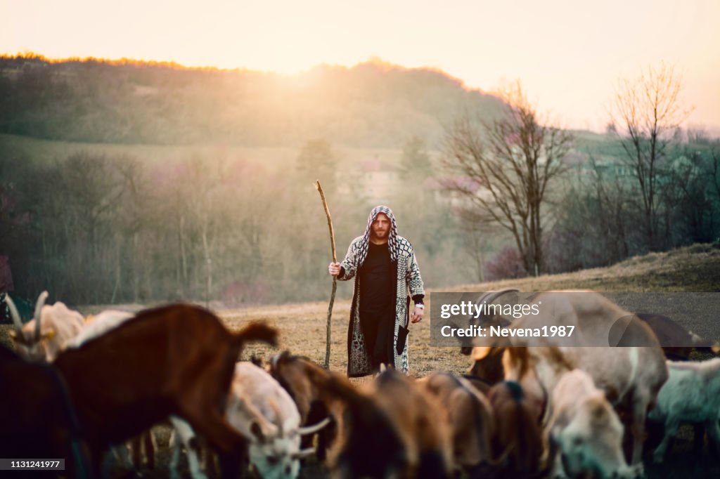 Pastor joven con manada de cabras
