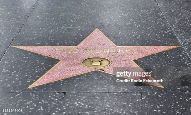 Flowers Placed in Remembrance on The Hollywood Walk of Fame Star of Peter Tork of The Monkees on February 21, 2019 in Hollywood, California.