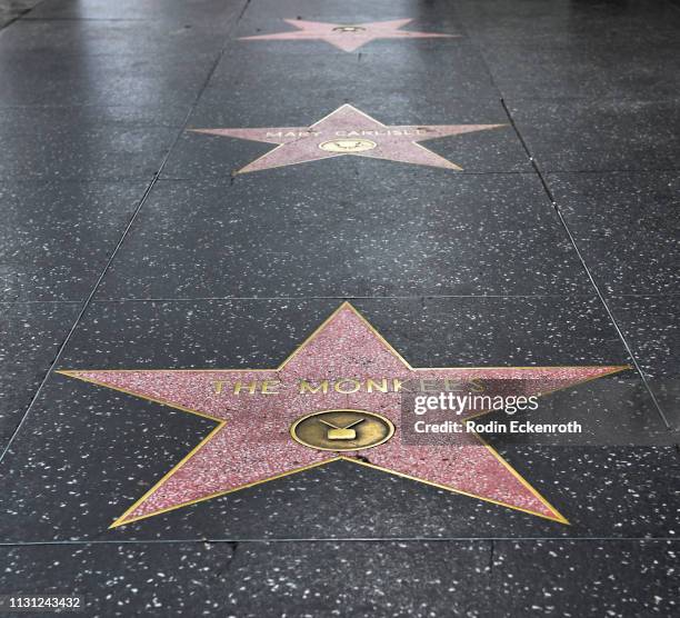 Flowers Placed in Remembrance on The Hollywood Walk of Fame Star of Peter Tork of The Monkees on February 21, 2019 in Hollywood, California.