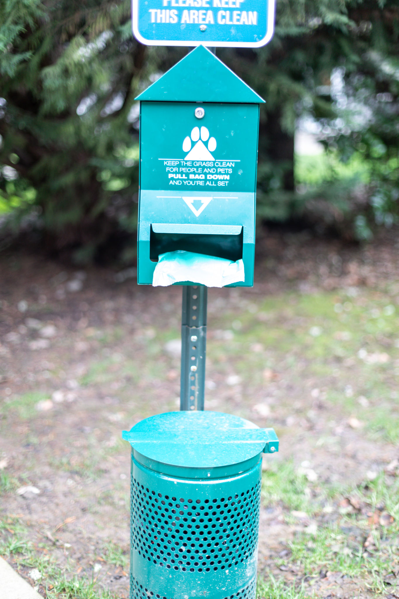 pet waste health