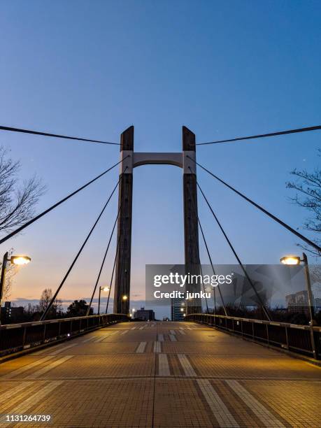 木場公園大橋 - つり橋 stockfoto's en -beelden