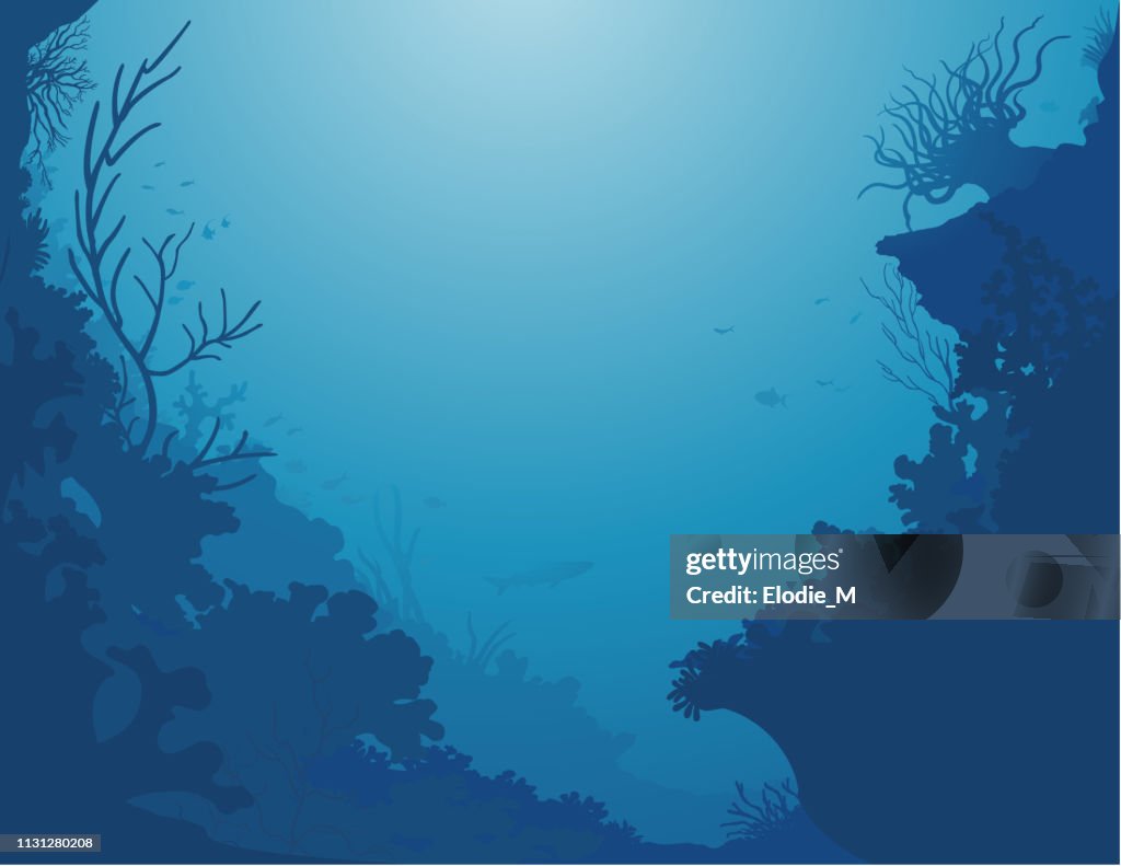 Undersea background/Decor de la Mer