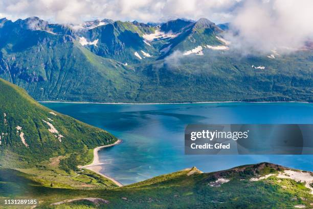 costa di katmai nell'alaska meridionale - parco nazionale di katmai foto e immagini stock