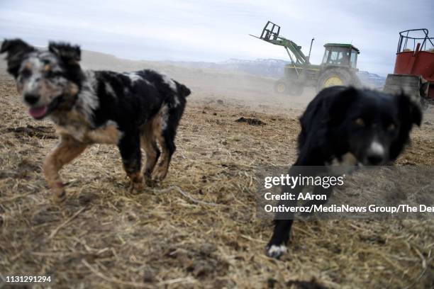 Jwl Ranch 23 Jw Ranch Photos & High Res Pictures - Getty Images
