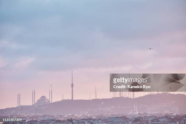 good morning istanbul - イスタンブール - fotografias e filmes do acervo