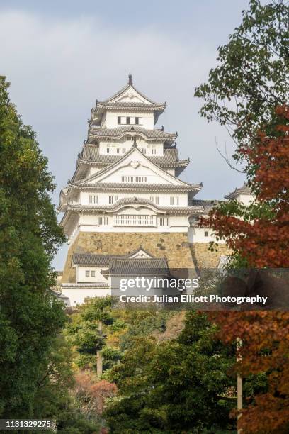 himeji castle is a japanese castle in the city of himeji, japan. - himeji stockfoto's en -beelden