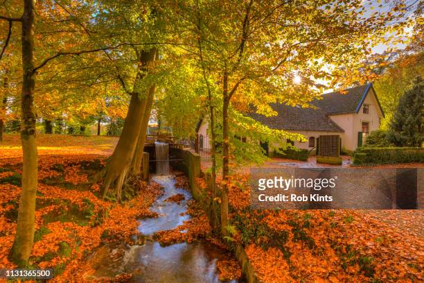 the water mill of staverden and the staverden brook surrounded by beautiful atumn foliage of the veluwe forest - kalmte stock-fotos und bilder