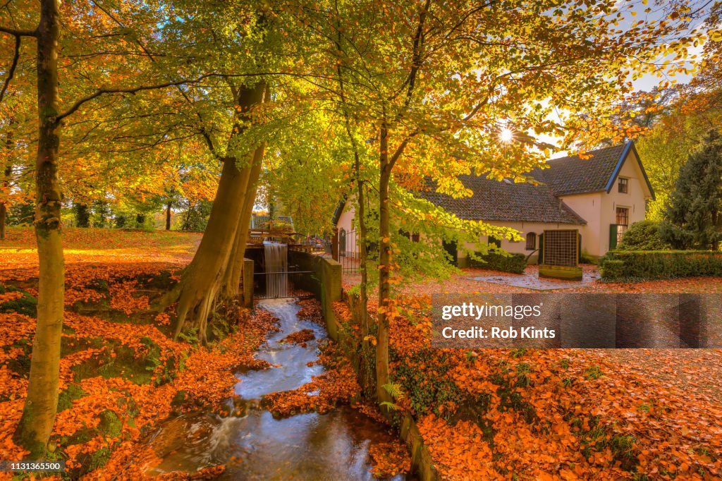 The Water Mill of Staverden and the Staverden Brook surrounded by beautiful Atumn Foliage of the Veluwe forest