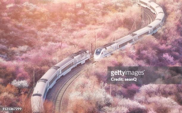 sakura train - drone point of view photos stock pictures, royalty-free photos & images